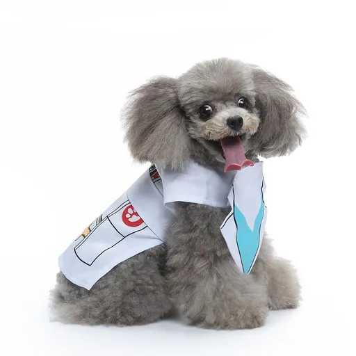 XL Size Pearl Frost Pet Costume, Fancy Dress for Halloween & Christmas, Lightweight for 7-10 kg Dogs and Cats