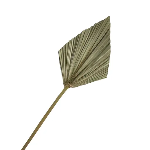 4 Pieces Natural Dried Palm Spears Small Dried Palm Fans for Flower Bouquet Boho Wedding Home Party Kitchen Vase Farmhouse