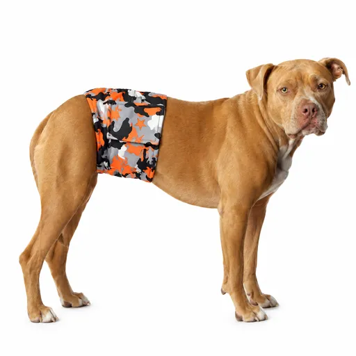 Male Dog Belly Band Wrap Reusable Washable Diaper for Marking Incontinence with Mesh Lining and Adjustable Fit for Home and Outdoor Walks (S, Orange)