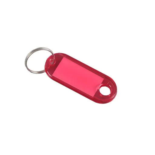 2pcs Crystal Clear Plastic Key Tags with Double Sided Display, Flexible Key Organizer with Labels Window & Ring, 2 Colors