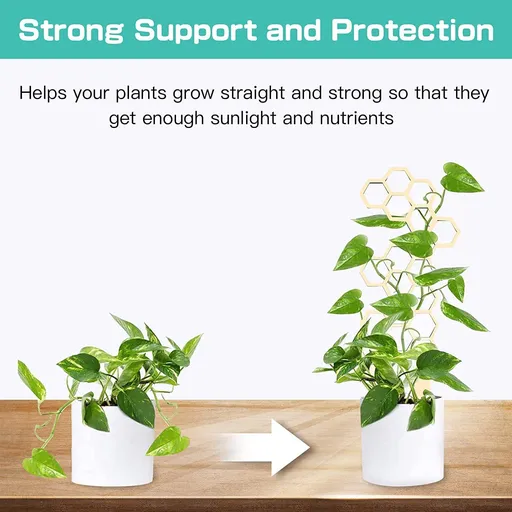 Small Wooden Trellis for Potted Climbing Plants Trellis Starter Holder for Indoor Outdoor Garden Decor Honeycomb