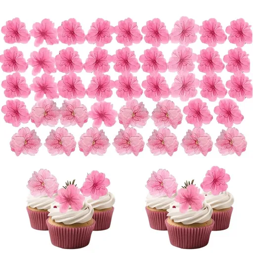 48Pcs Natural Dried Pressed Edible Flowers for Cake Topper Decorating - Mix Viola Tricolor for Cupcake Toppers, Cocktails, Resin Jewelry Making, DIY Art Crafts