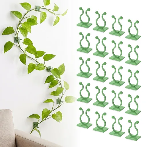 20Pcs Plant Wall Clips Stable Fixing Drill Free Installation Wall Vine Fixing Holder for Kitchen Bedroom Living Room Office