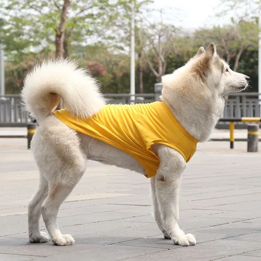 Cotton Pet Vest for Dogs and Cats Pure cotton vest pure yellow XL bust 50 back length 37cm