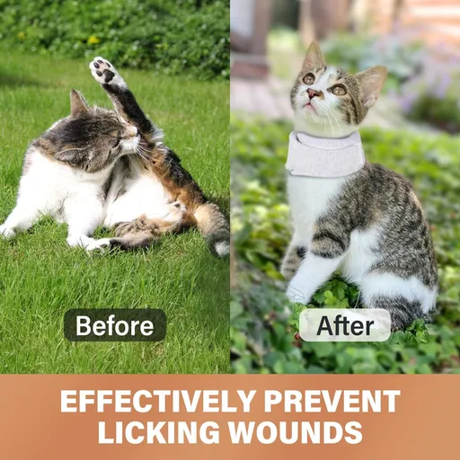 Cat Cone Collar Soft, Cat Cones to Stop Licking After Surgery, Adjustable Cat Recovery Collar Prevent from Licking Wounds M