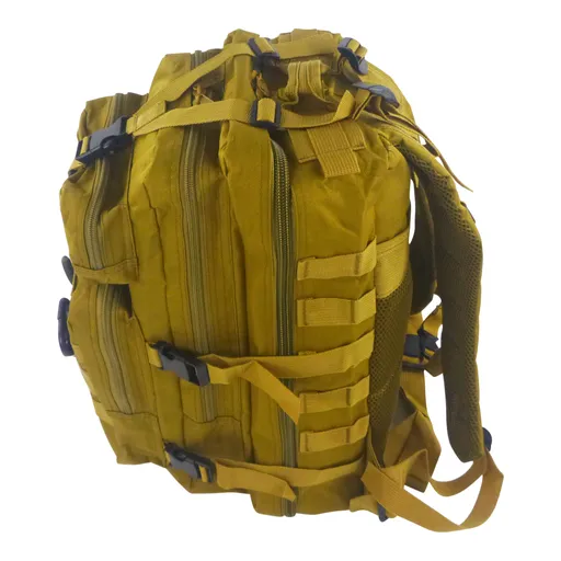 BSTC Fishers Back Pack, Tan