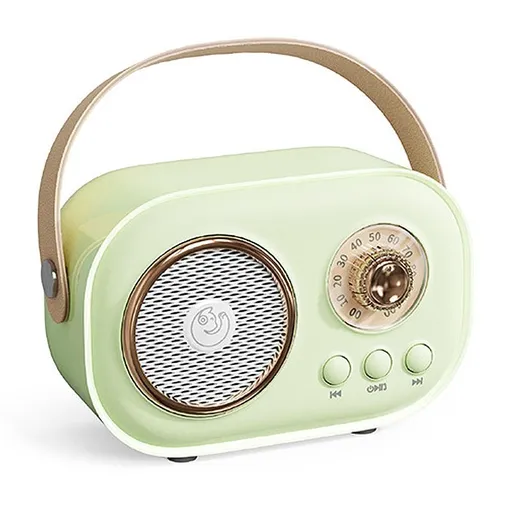 Karaoke Machine Mini Bluetooth Speaker Portable with Wireless Microphone Green