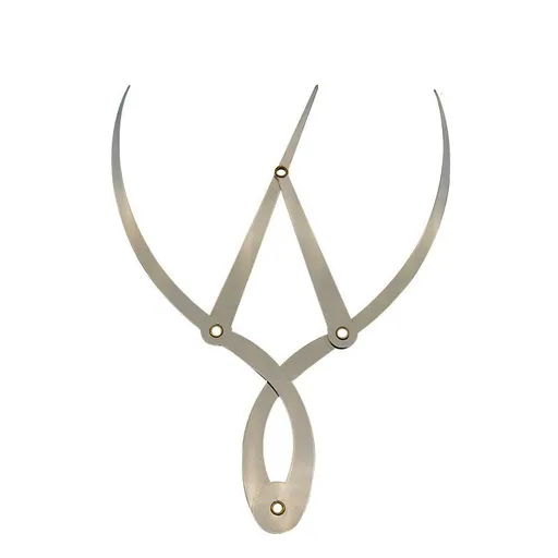 Golden Mean Calipers Golden Ratio Calipers Stainless Steel Eyebrow Ruler 1:1.618 Measure Tool for Tattoo Makeup