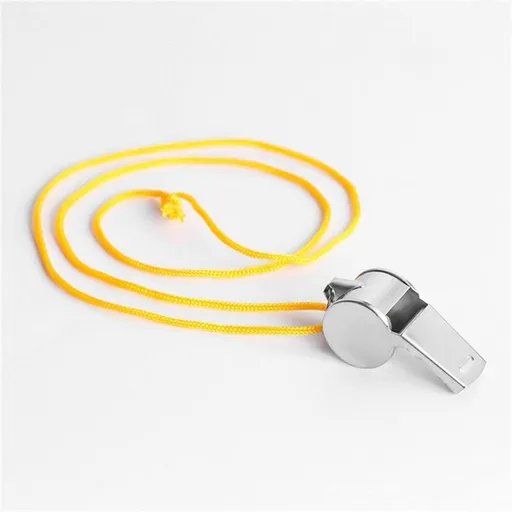Stainless Steel Sports Whistles with Lanyard, Loud Crisp Sound Whistle for Sports Lifeguards Survival Emergency Training