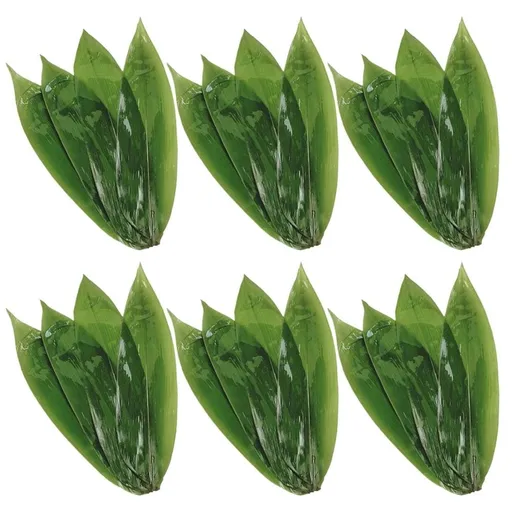 Bamboo Leaves for Zongzi Dark Green Natural Design Kitchen Decoration 50Pcs