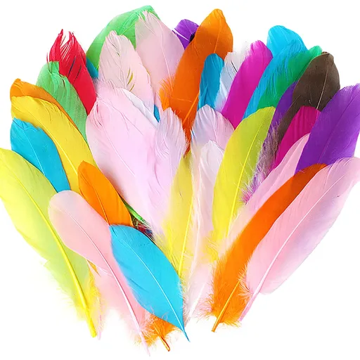 DIY Natural Colourful Craft Feathers (50 Count) One Size Colourful