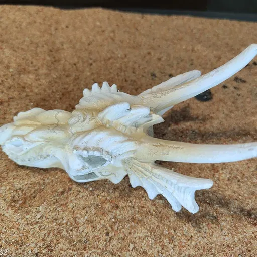 Fish Tank Dragon Skull Decorations Bearded Dragons Tank Accessories Reptile Hide Cave Crocodile Skull Resin Skulls Reptiles