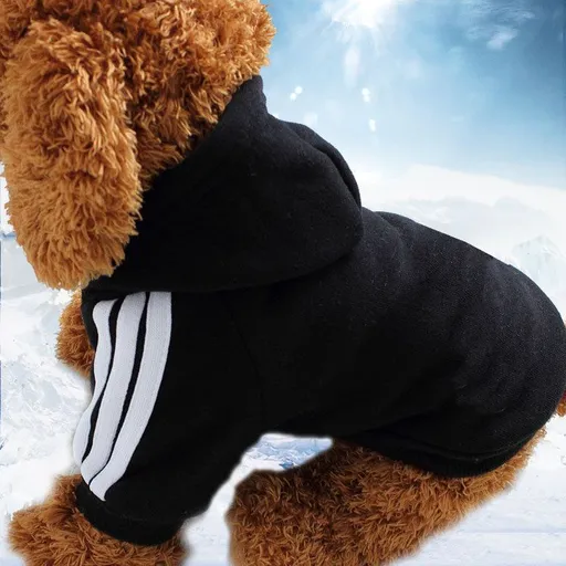 Shine Pet Sweatshirt Cotton Casual Style two legs adog black M (bust 37CM recommended weight 2.00 kg-3.00 kg