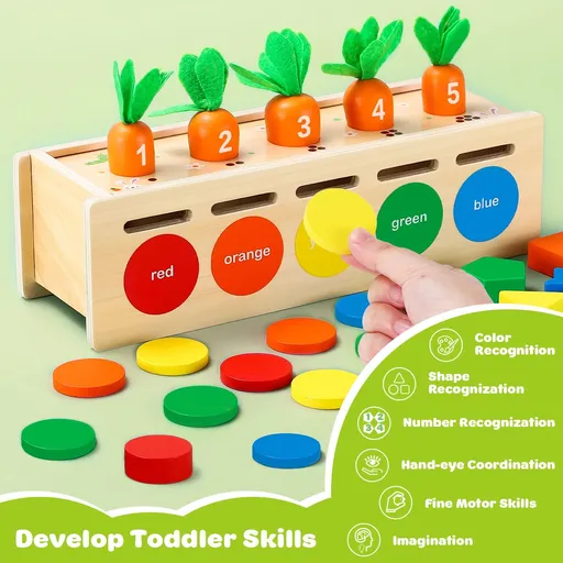 Montessori Toys for Toddler Age 1, 2, 3 Year Old, Wooden Color & Shape Sorting Matching Box, Early Learning Toys for 12+ Month