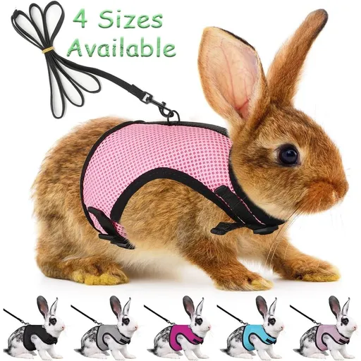 Bunny Rabbit Harness Set, Adjustable Buckle Breathable Mesh Vest Escape Proof for Small Pets Walking Outdoor