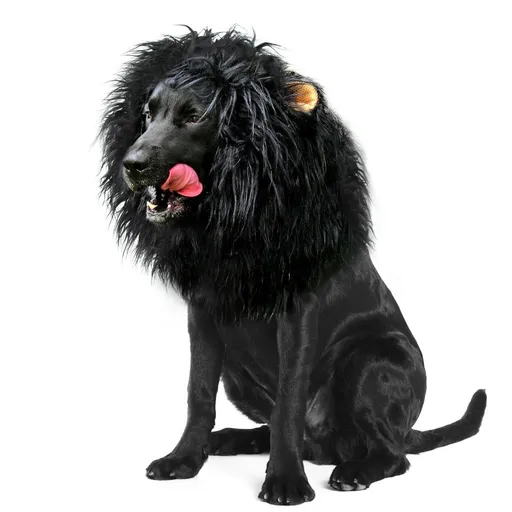 Lion Mane Wig for Dogs with Ears, Funny Pet Costumes for Halloween Christmas - Black - Size L