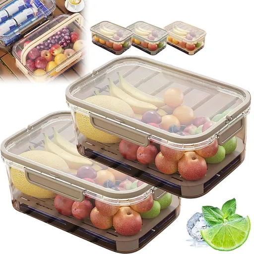Outdoor Picnic Preservation Box - Leak-Resistant Dual-Layer Storage w/ Ice Pack & Handle, Sealed Fruit Container for Camping/Hiking