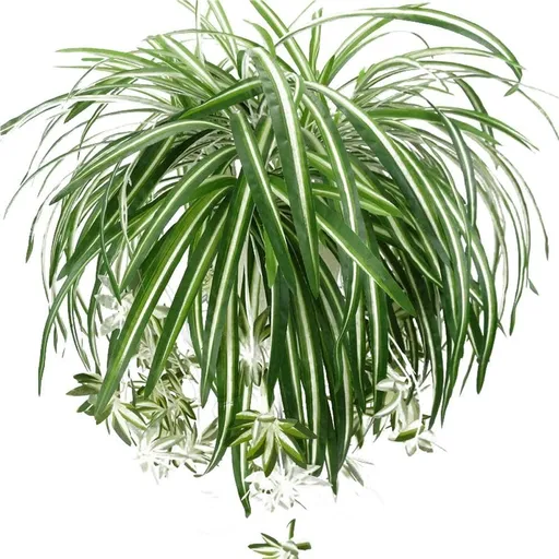 25" Artificial Chlorophytum Plant in Hanging Basket (2 Count)