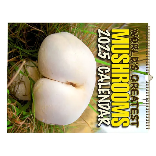 2025 Wall Hanging Calendar Delicate Stylish Wall Calender for Living Room Office English Gift Mushroom Pattern