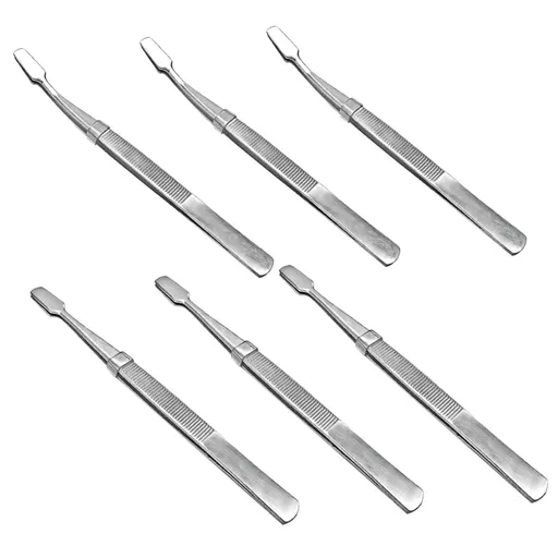 6pcs Stamp Tweezers Stamp Collecting Stamps Stamp Tongs Craft Tweezers Hobby Tweezers Coin Tongs Durable Plated Philately