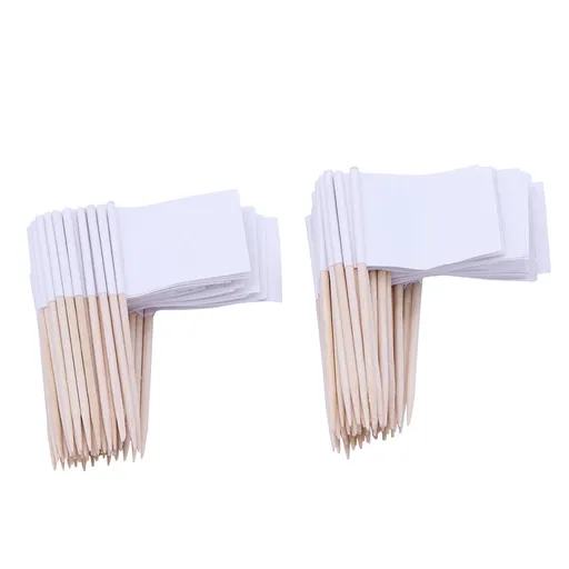 100Pcs Flag Cupcake Toppers Toothpick Flags Cheese Markers Sticks Flag Topper for Party Cake Food Cheeseplate Appetizers