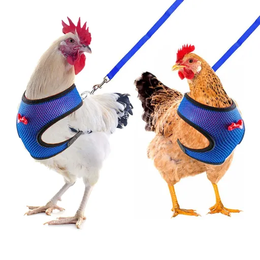 Chicken Harness and Leash, Modified Adjustable Breathable Harness Specially Designed for Rooster and Hens Duck (2pcs) (Blue) S
