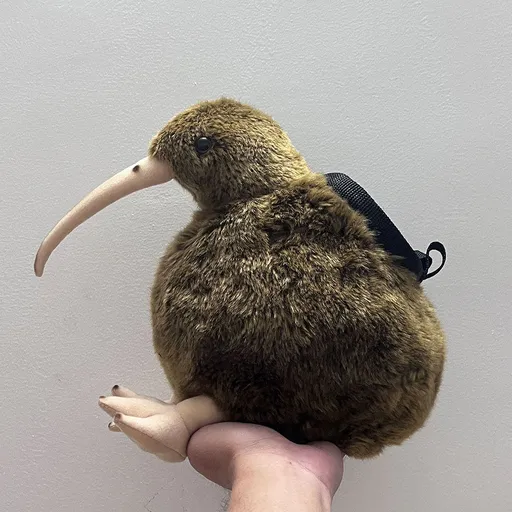Kiwi Chalk Bag Rock Climbing Equipment