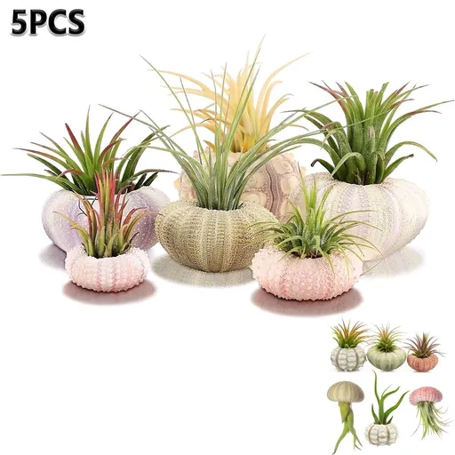 5 Pcs Mini Sea Urchin Shell Air Plant Holders,Decorative Hanging Air Plant Pot, Tillandsia Succulent Display Container for Home Gardening Gifts Beach Theme Party Decors, No Plants