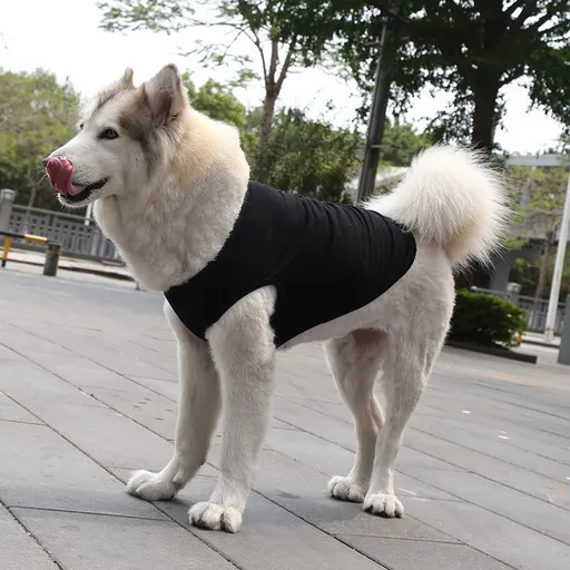Cotton Pet Vest for Dogs and Cats Pure cotton vest pure black XS bust 30 back length 17cm