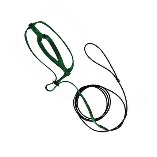 S Pet Parrot Bird Harness Lead Leash Flying Training Rope Cockatiel Outdoor - Green