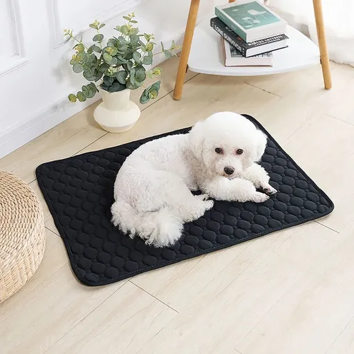Washable Pee Pad for Dogs, Cute Puppy Crate Training Mat Non-Slip, Super Fast Absorbent, Reusable Waterproof Dog Cats Crate Pad Pets Pee Pads, 19.6x27.5in, Black