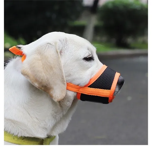 2 pack Dog Muzzle Anti Biting Barking and Chewing with Comfortable Mesh Soft Fabric and Adjustable Strap, Suitable for Small, Medium and Large Dogs(L)