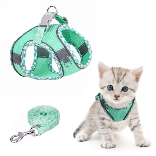 1 Adjustable Pet Harness with Reflector and Leash for Cat and Dog, Soft Comfortable Vest Design Anti-Escape, L, Green