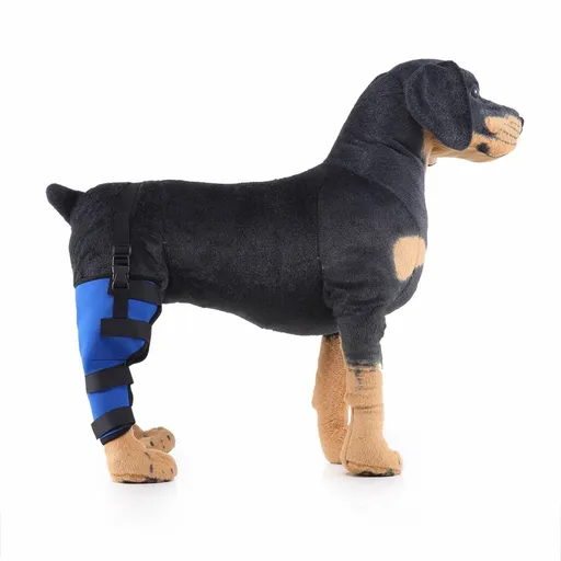 Dog Hind Right Leg Brace for Surgery Recovery, Puppy Rear Leg Protector with Stable Support, Prevents Licking Chewing Wounds, Aids Post-Op Recovery - Blue - Size L