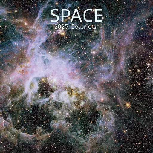 Space 2025 Square Wall Calendar 16-Month Christmas New Year Premium Planner Gift