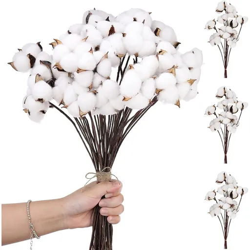 10PCS Cotton Stems, Cotton Flower Bolls, 10 Inch Cotton Branch, Natural Cotton Floral Plant Stick for Farmhouse Decor, Vase Fillers
