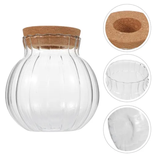 Minimalist Transparent Propagation Vase for Indoor Water Plants Featuring Cork Lid and Modern Tabletop Design