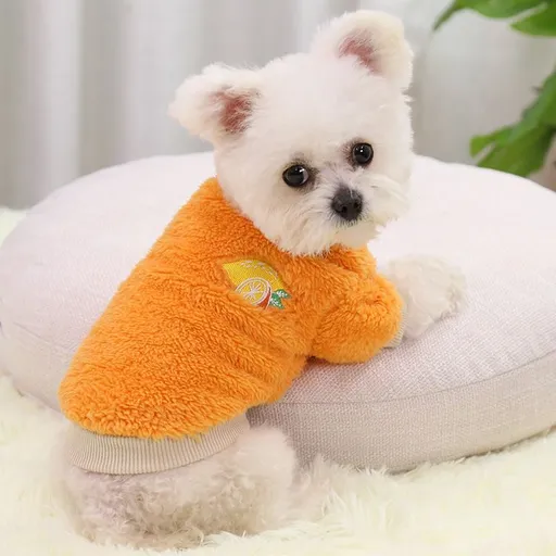 Shine Two Legged Dog Cat Winter Warm Pet Clothing Orange small navel orange (two legs of cotton wool) XL (chest circumference 47CM recommended weight 4.00 kg-5.00 kg