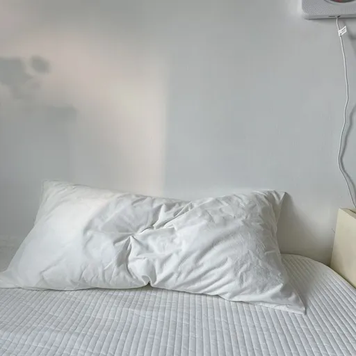 Lu Mi Er Pure Cotton Pillowcase 48x74cm Salt White L Single pillowcase 48*74
