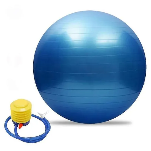 Exercise Ball Extra Thick 65cm Fitness Balance Trainer Blue