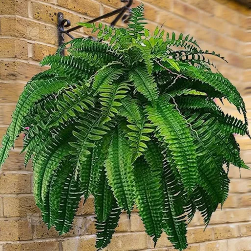 Extra Realistic UV Resistant Fern Bush for Outdoors & Indoors - for Hanging Planters, Porch, Patio, Living Room & Office Decor