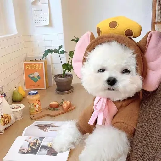 Shine Pet Hoodie Dog Cat Fruit Design Drawstring Brown Mouse Cheese S (bust 38CM about 2.00 kg-3.00 kg pets)