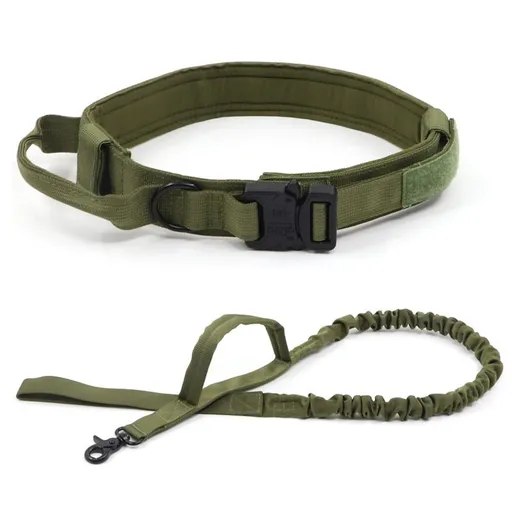 Nylon Dog Collar Training Buckle 3.8cm Green suit L code (42-54cm)