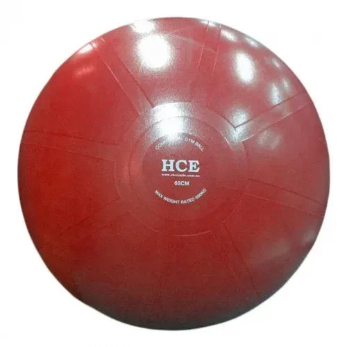 Exercise Ball 55cm Commercial Gym Ball with Pump for Balance Stability and Core Strength