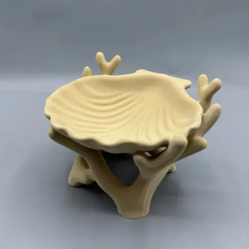 3D printed organic coral and seashell jewelry and key storage box, flesh-colored