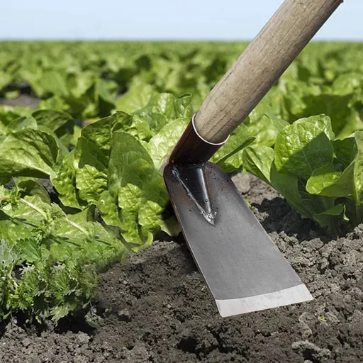 Outdoor Hoe Garden Tool -Garden Hula Hoes for Weeding Gardening - Weeding Loop Stirrup Hoe for Planting Vegetables Flower Hoes - Planting Vegetables Flower Hoes Without handle C