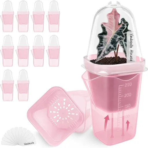 Self-Watering Square Seedling Pot with Adjustable Humidity Dome – Semi-Transparent Pink Plastic Planter for Mini Succulents, Carnivorous Plants, and Propagation, Ideal for Desks, Shelves, and Kids Gardening (4PCS)