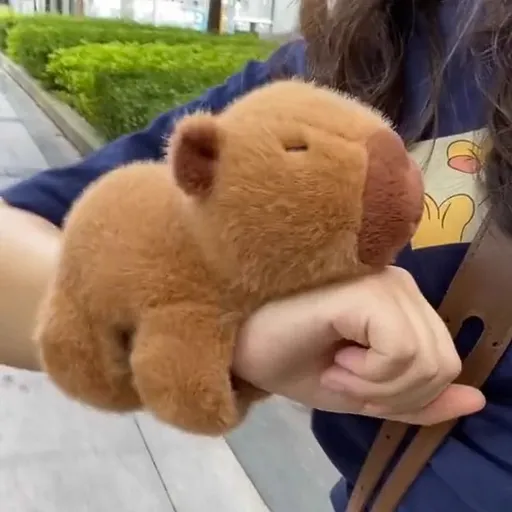 Cute Koala Slap Bracelet Plush Toy - Soft Wristband Stuffed Animal for Kids - Stress Relief Fidget Wrist Plush - Birthday Gift for Children - Capybara