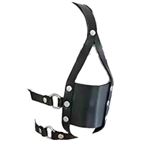 House Of Dasein Ball Gag Head Harness Mask Muzzle Blindfold Bondage Kink Bdsm Fetish Restraints - Style B