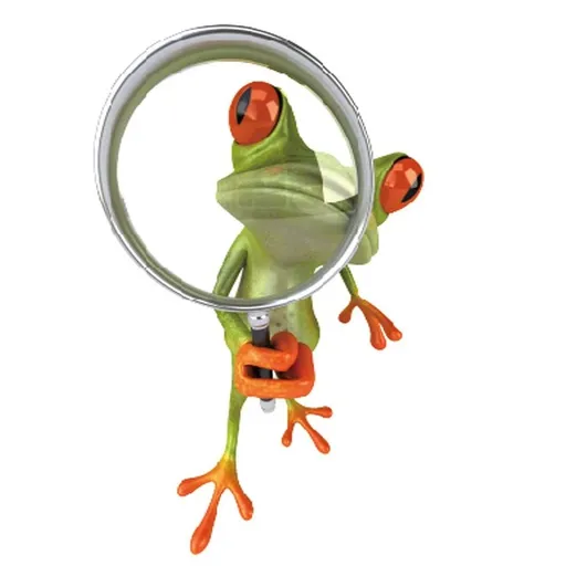 4pcs Frog Decal Sticker,Frog Lover,Animal Lover Gift for Car Bathroom Toilet Seat Lid Cover Cartoon Car Stickers Vinyl Bumper